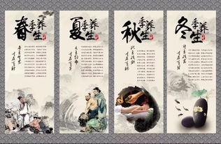 交旅融合·文旅賦能 七大養生旅游模式引領健康生活新浪潮